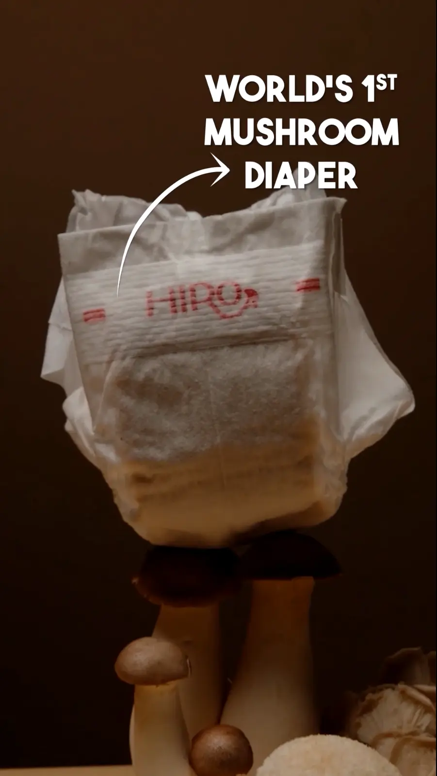 Mushroom Diaper Concept